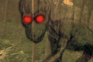 Dover Demon – Ek Ajeebo Gareeb Jaanwar Ki Real Kahani